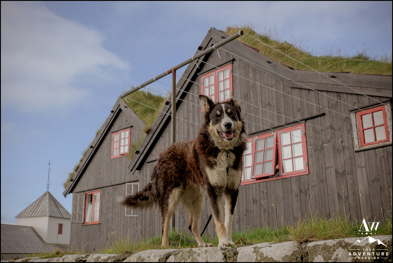 Faroe Islands Wedding Photographer-2