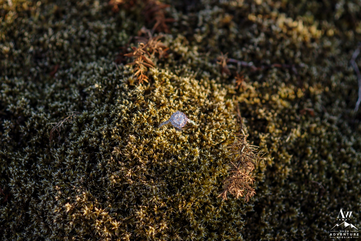 Iceland Wedding Ring Sitting on top of Green Moss
