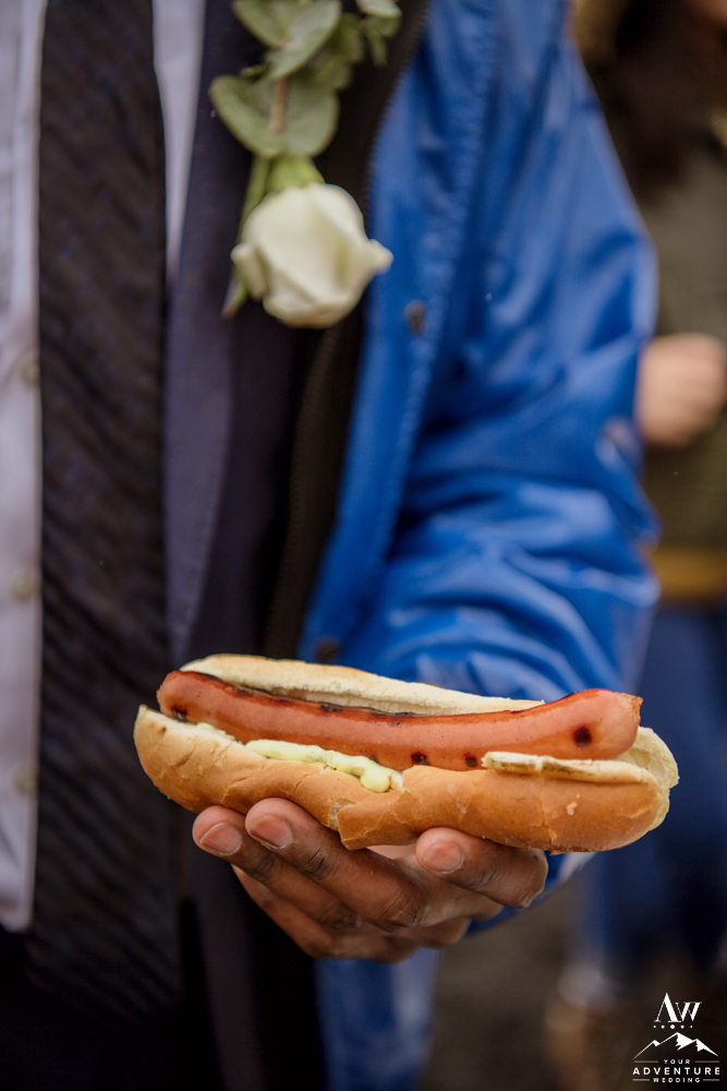 Iceland Wedding Lunch traditional hot dog bbq
