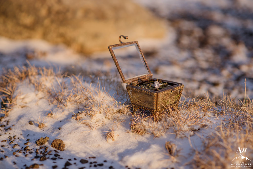 Iceland Engagement Ring in a moss box in snow