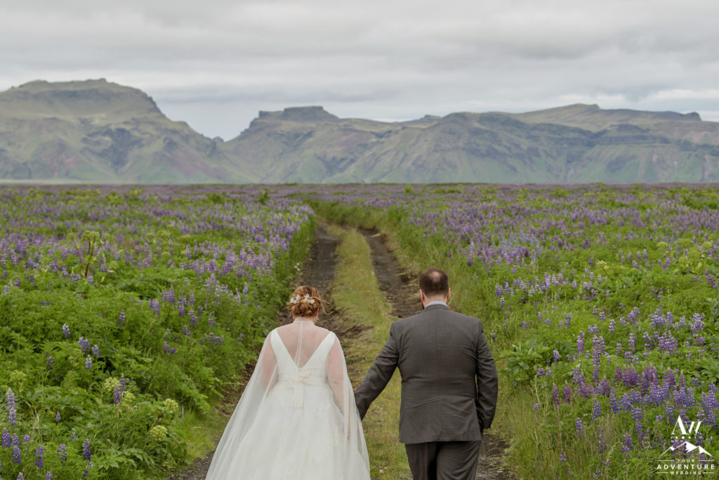 July wedding in iceland lupine