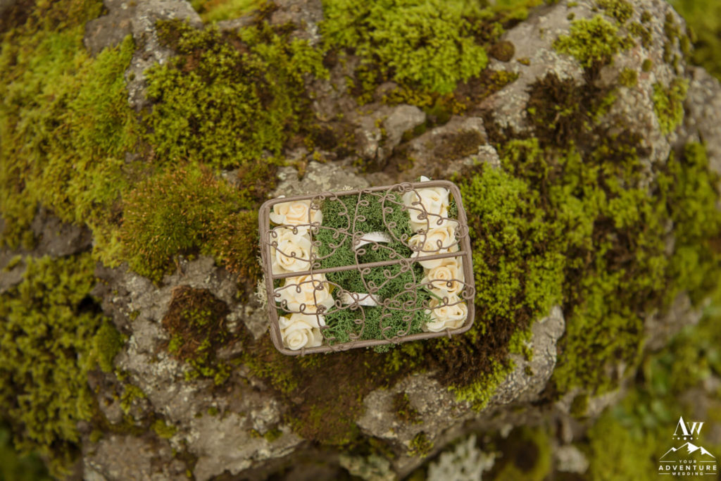 Silver Iceland Wedding Rings in box on Moss Rock