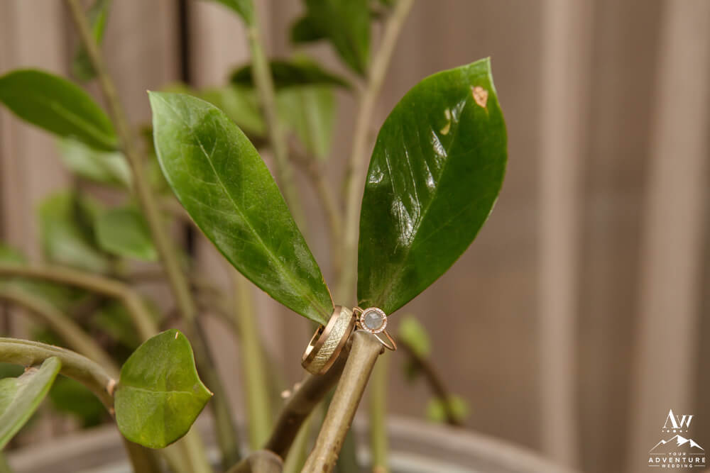 Iceland Wedding Rings Hanging on a Plant