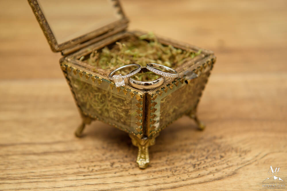 Iceland wedding rings on moss box