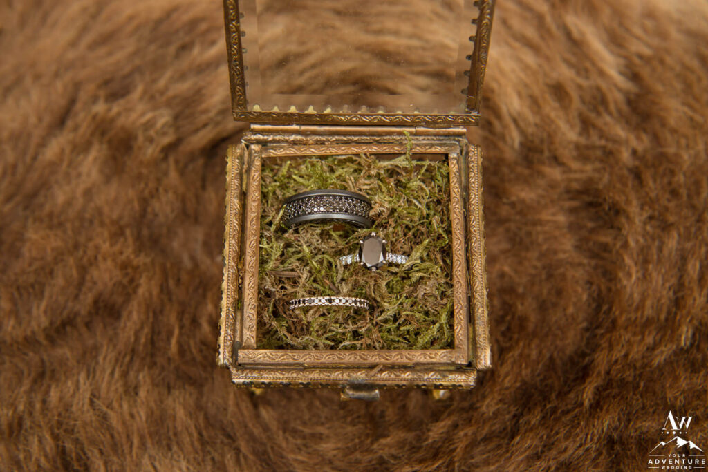 Iceland Wedding Rings in Moss Box