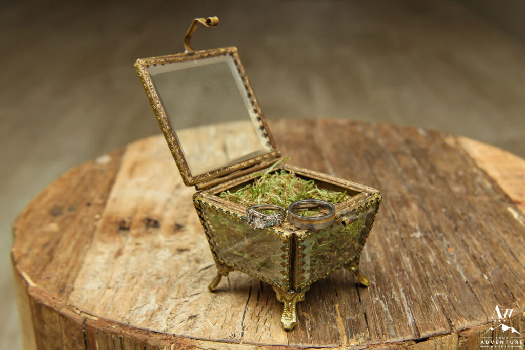 Iceland Wedding Rings in Moss Box