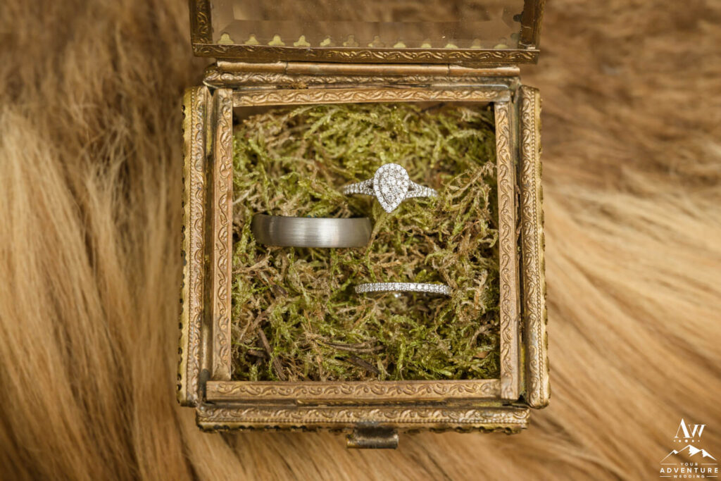 Iceland wedding rings in moss box