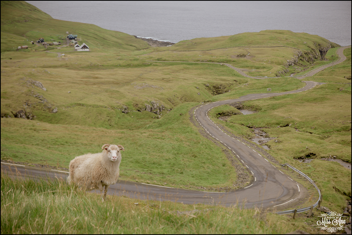 Faroe Island Wedding Photographer-1